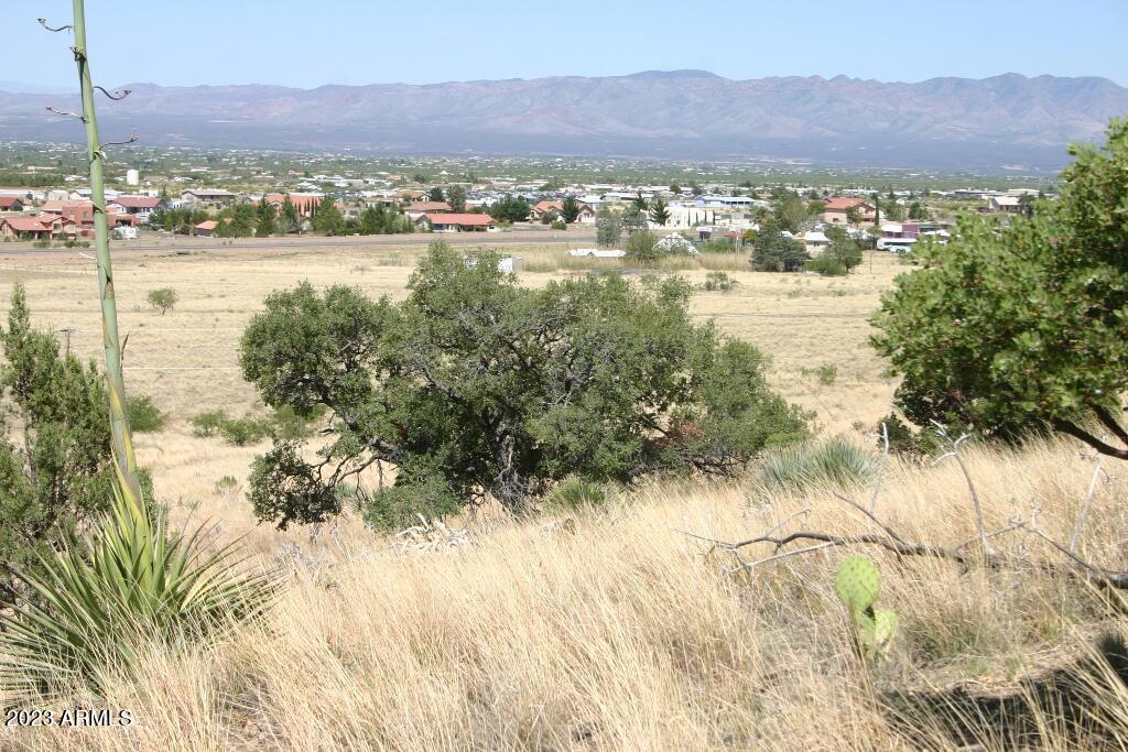 9 North One More Road Hereford, AZ 85615 - Photo 3 of 19 One More Road 015
