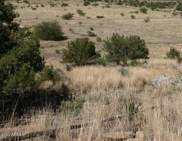 $74,000 | 9 North One More Road, Hereford, AZ 85615