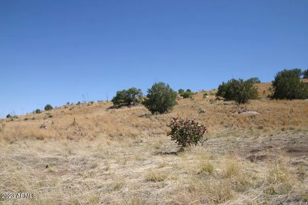 $74,000 | 9 North One More Road, Hereford, AZ 85615