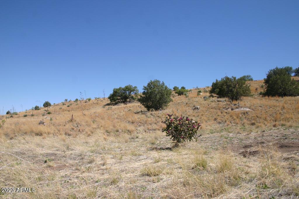 9 North One More Road Hereford, AZ 85615 - Photo 6 of 19 One More Road 020