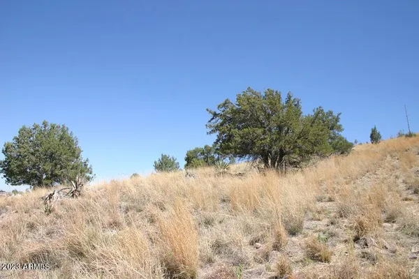 $74,000 | 9 North One More Road, Hereford, AZ 85615