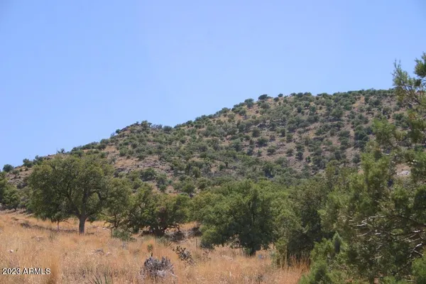 $74,000 | 9 North One More Road, Hereford, AZ 85615