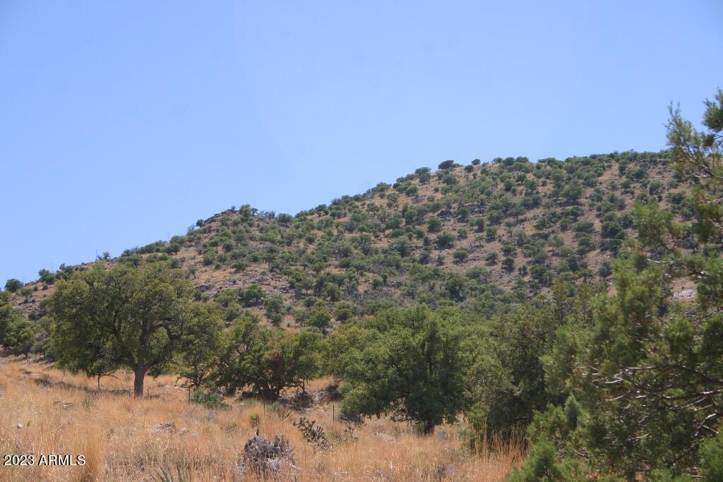 9 North One More Road Hereford, AZ 85615 - Photo 9 of 19 One More Road 003