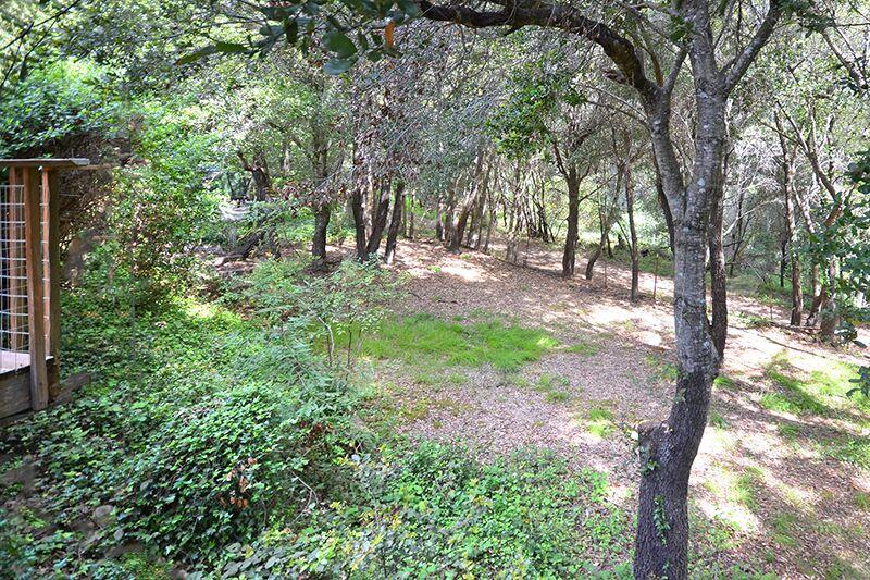 1728 Cheryl Way Aptos, CA 95003 - Photo 23 of 25 a view of outdoor space and trees
