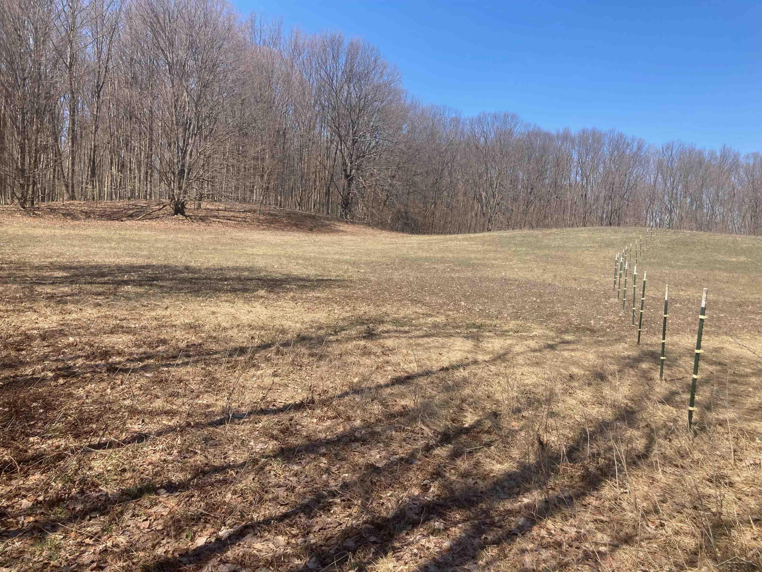 8353 West 12 Mile Road Bitely, MI 49309 - Photo 23 of 33