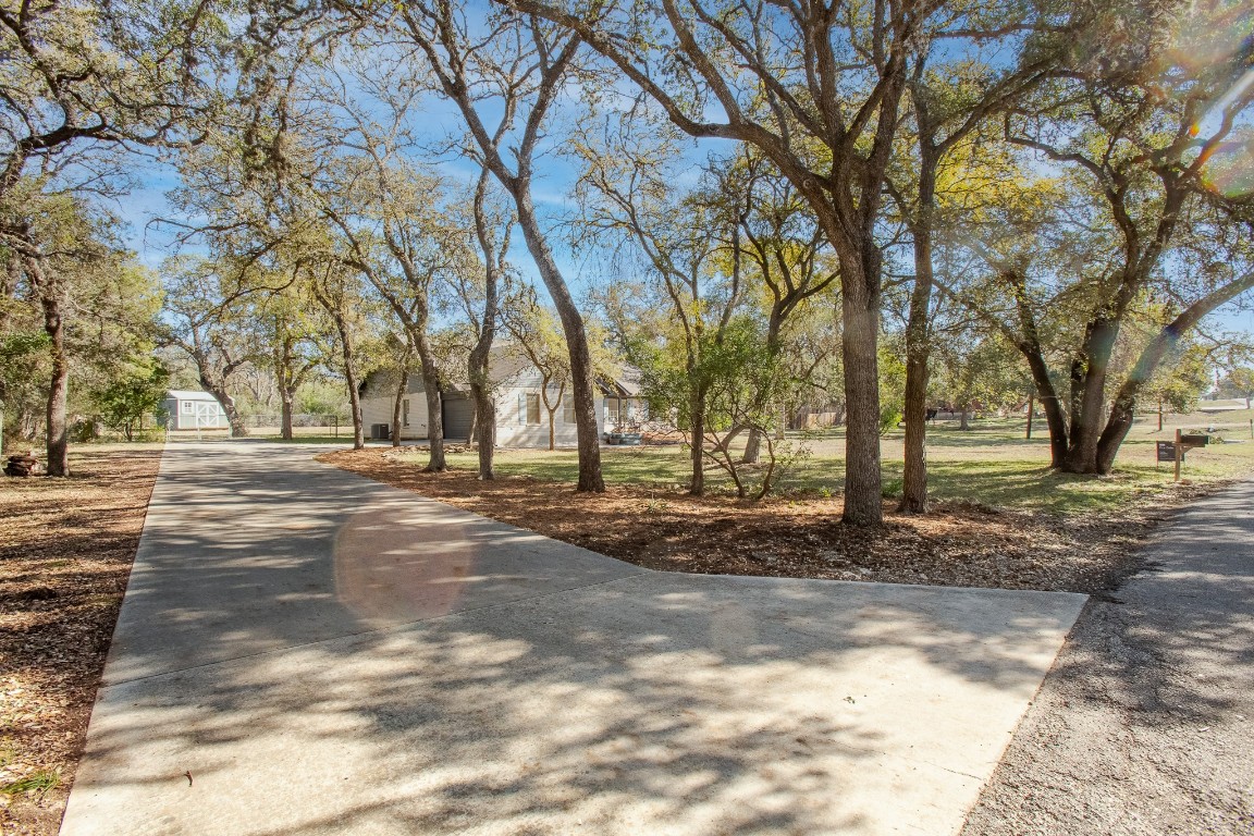520 Hunter Ridge Road San Marcos, TX 78666 - Photo 27 of 27 a view of yard with tree s