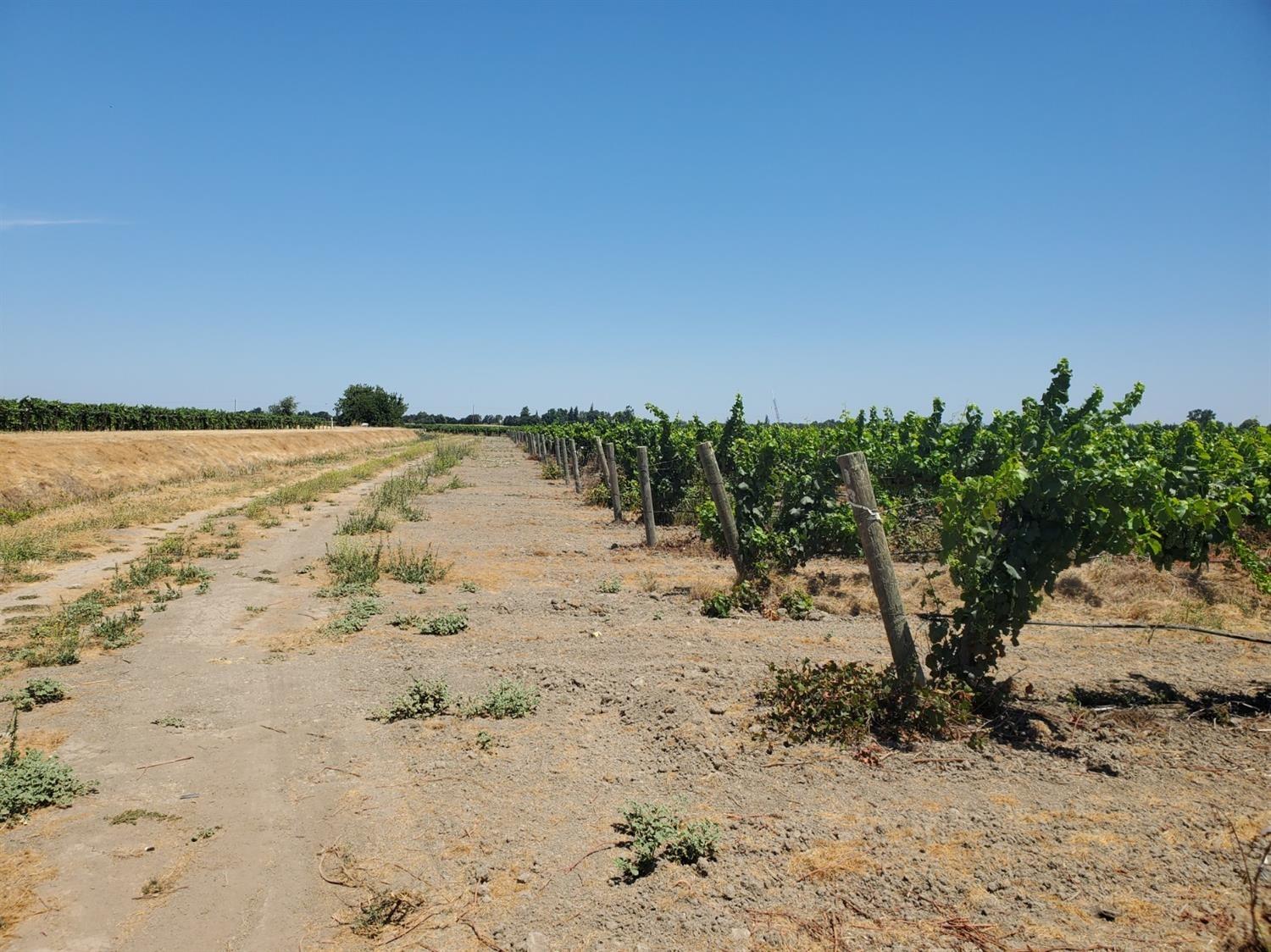 10698 Barber Road Thornton, CA 95686 - Photo 2 of 6