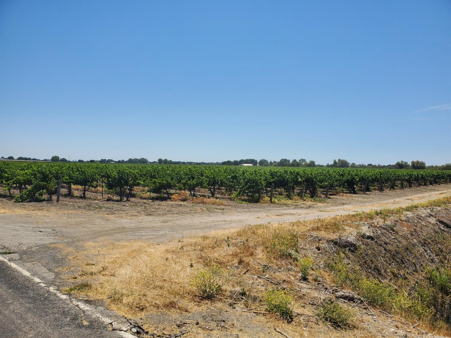 10698 Barber Road Thornton, CA 95686 - Photo 3 of 6