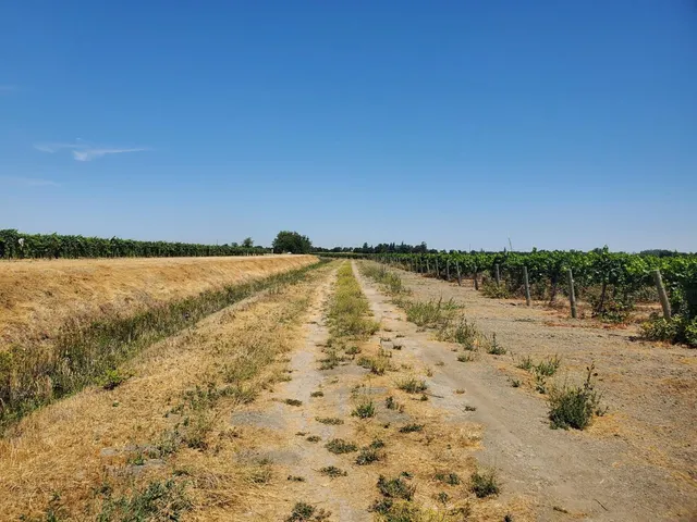 $1,660,000 | 10698 Barber Road, Thornton, CA 95686