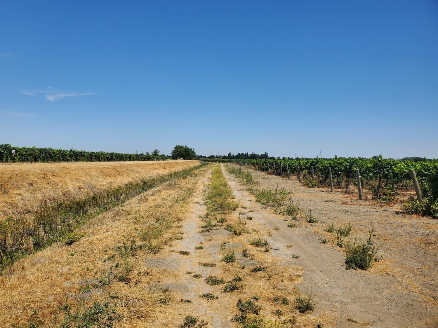 10698 Barber Road Thornton, CA 95686 - Photo 5 of 6