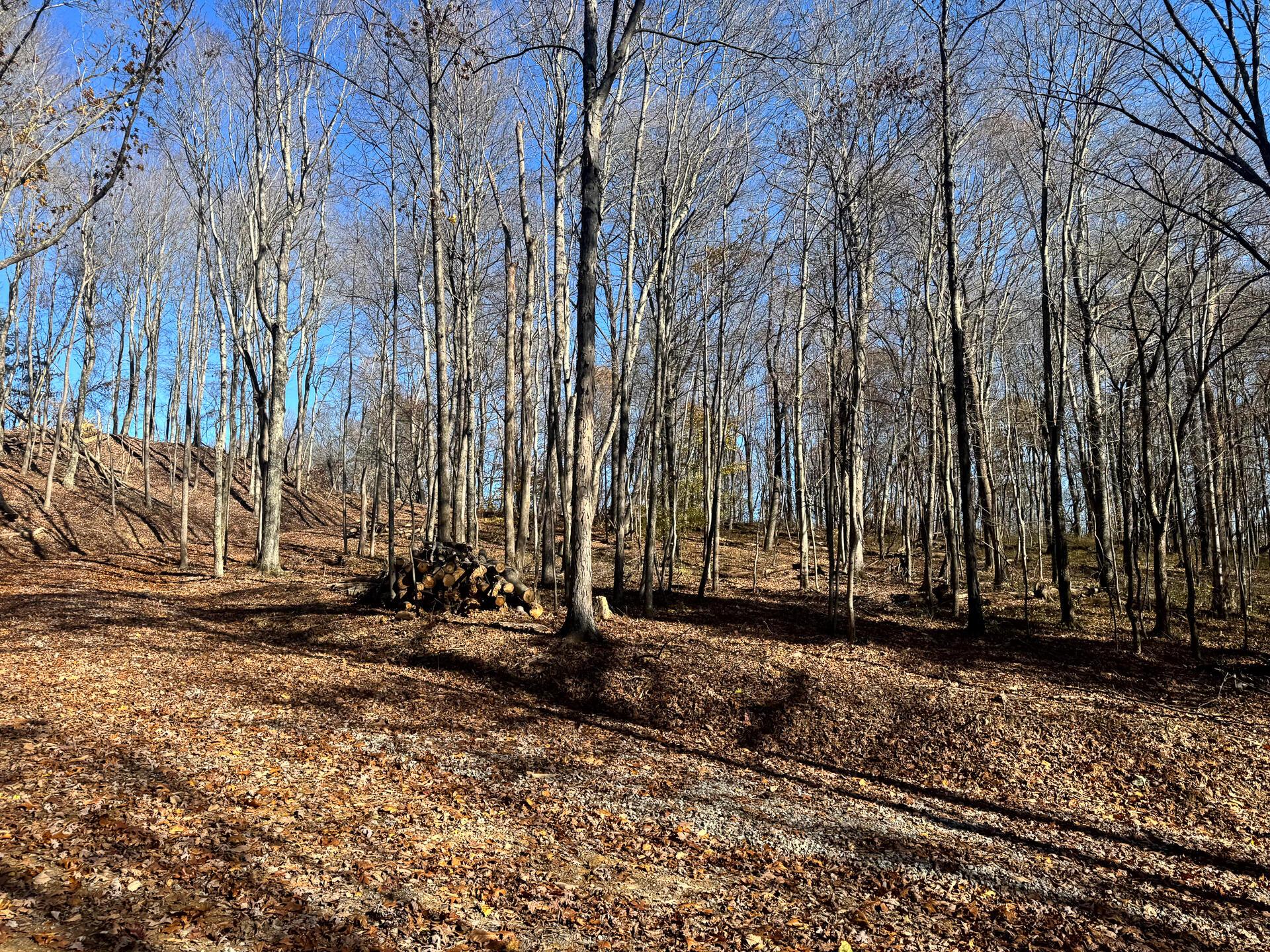 680 Nibert Road, Unit PONDS POPLAR RIDGE TRACT 10) Gallipolis, OH 45631 - Photo 18 of 46 CT-18