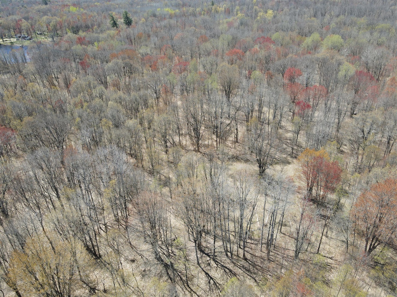 11401 Little George Lake Road Gladwin, MI 48624 - Photo 15 of 72