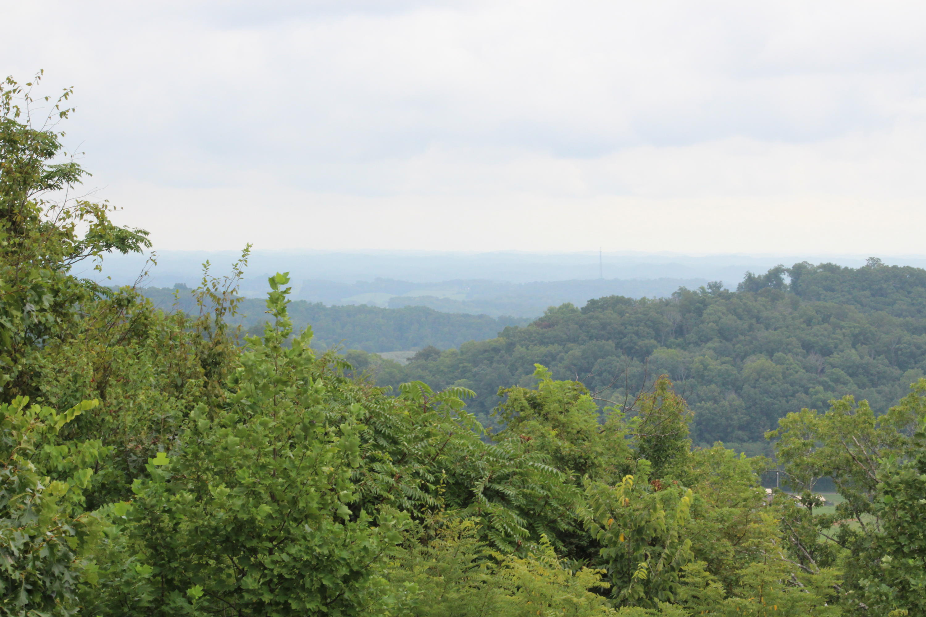 2185 Haag Store Road Talbott, TN 37877 - Photo 5 of 7 IMG_5281