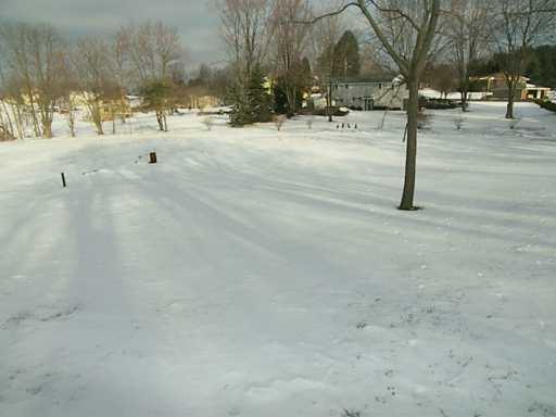 1002 Timber Ridge Court Harrison City, PA 15636 - Photo 8 of 8 Yard/Garden.