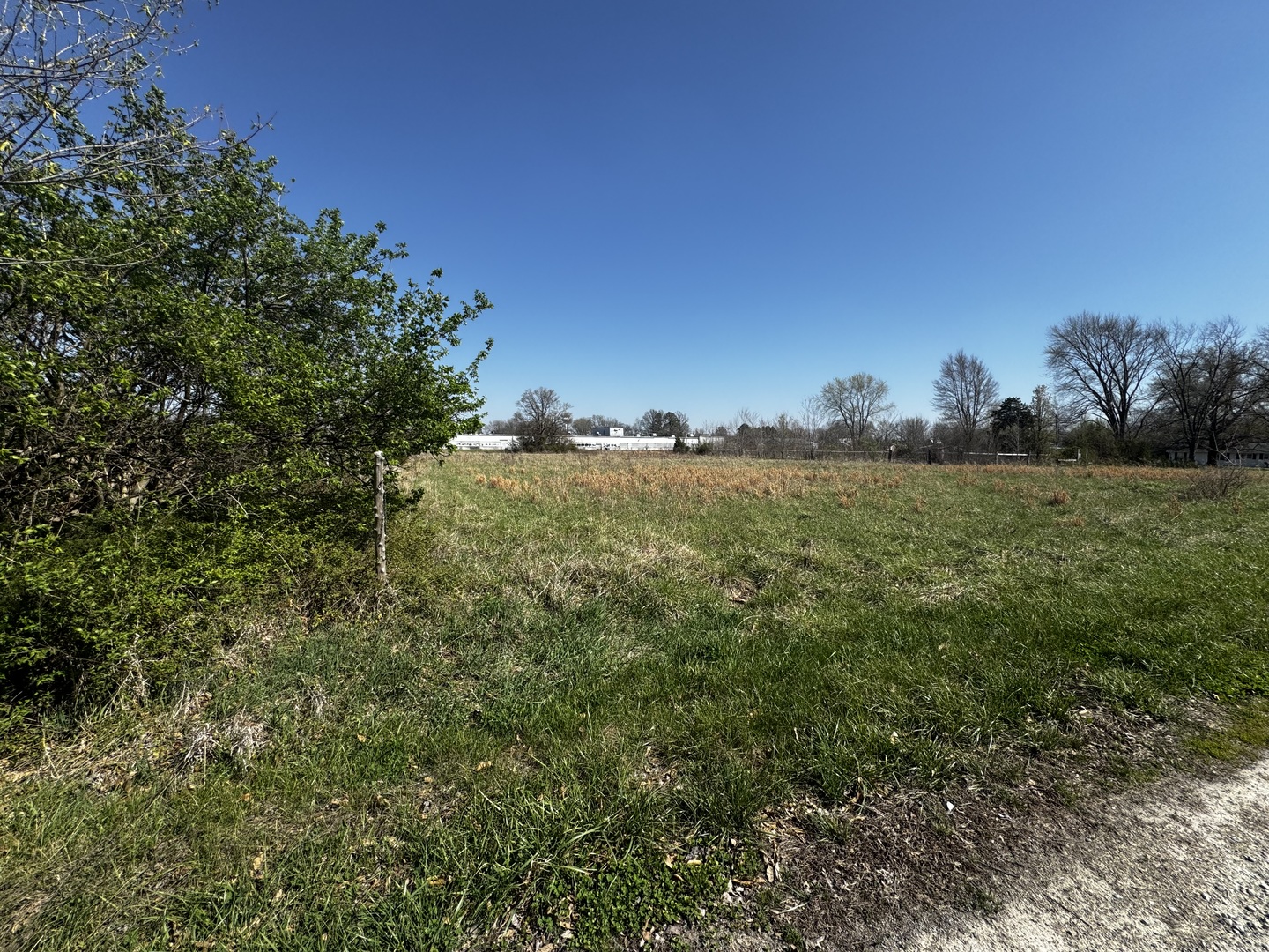 0 State Highway Pinckneyville, IL 62274 - Photo 3 of 3 a view of a big yard with large trees