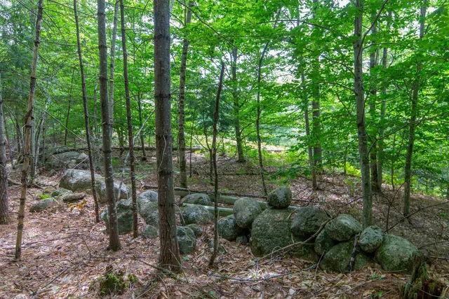 $125,000 | 0 Alden Washburn Drive, Chocorua, NH 03817