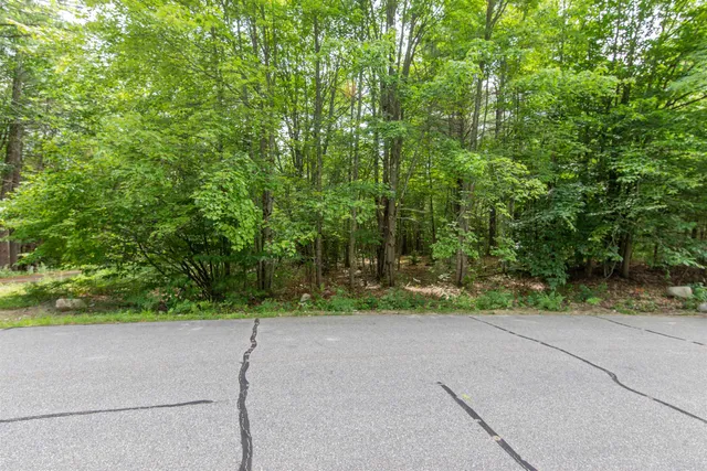 $125,000 | 0 Alden Washburn Drive, Chocorua, NH 03817