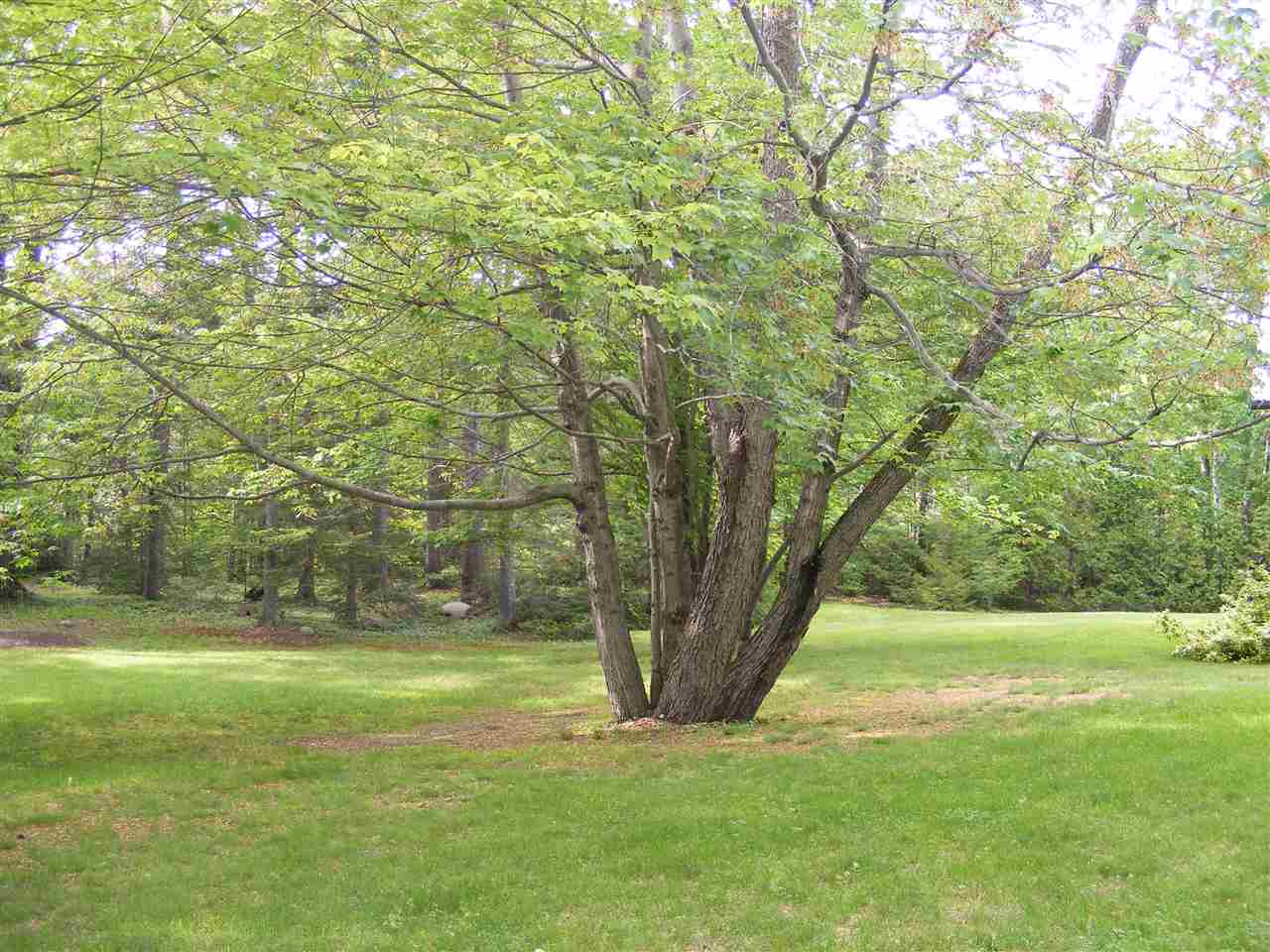 6 Stony Brook Road Gorham, NH 03581 - Photo 26 of 36 Gallery Image 26