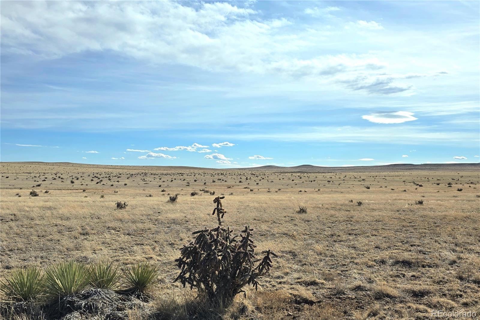 103 Tbd County Road Rye, CO 81069 - Photo 4 of 9