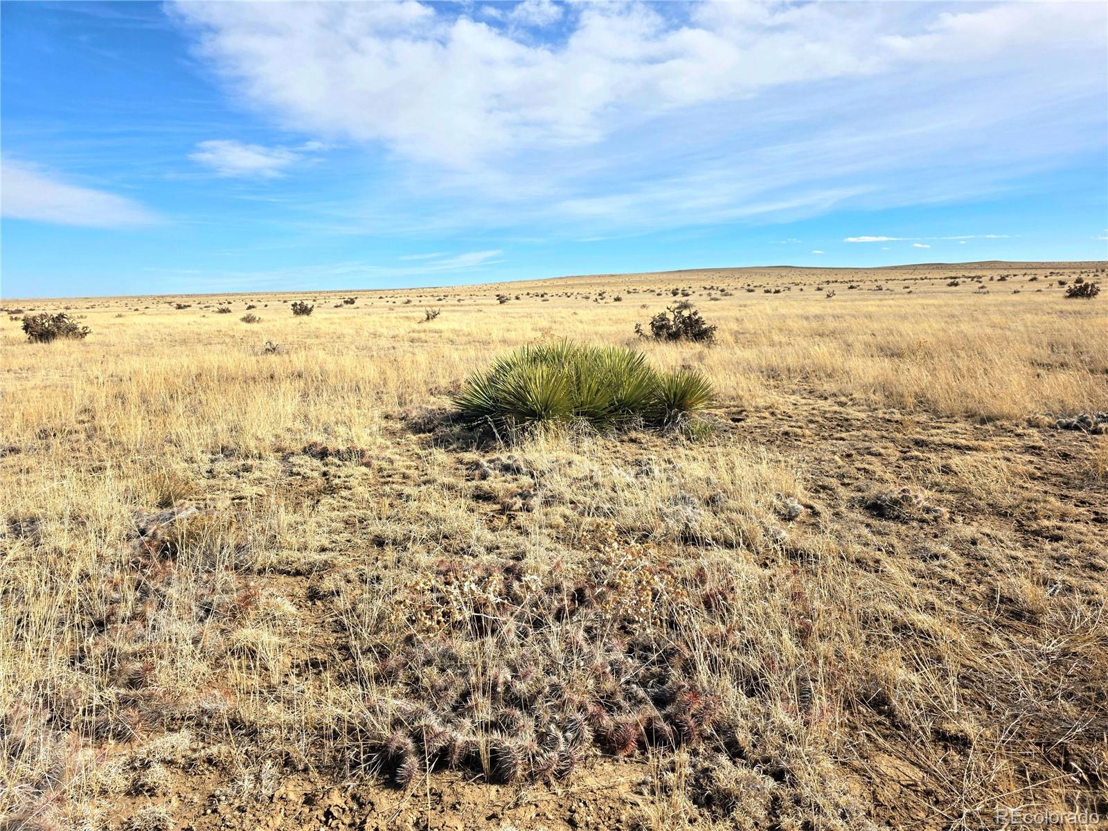 103 Tbd County Road Rye, CO 81069 - Photo 8 of 9