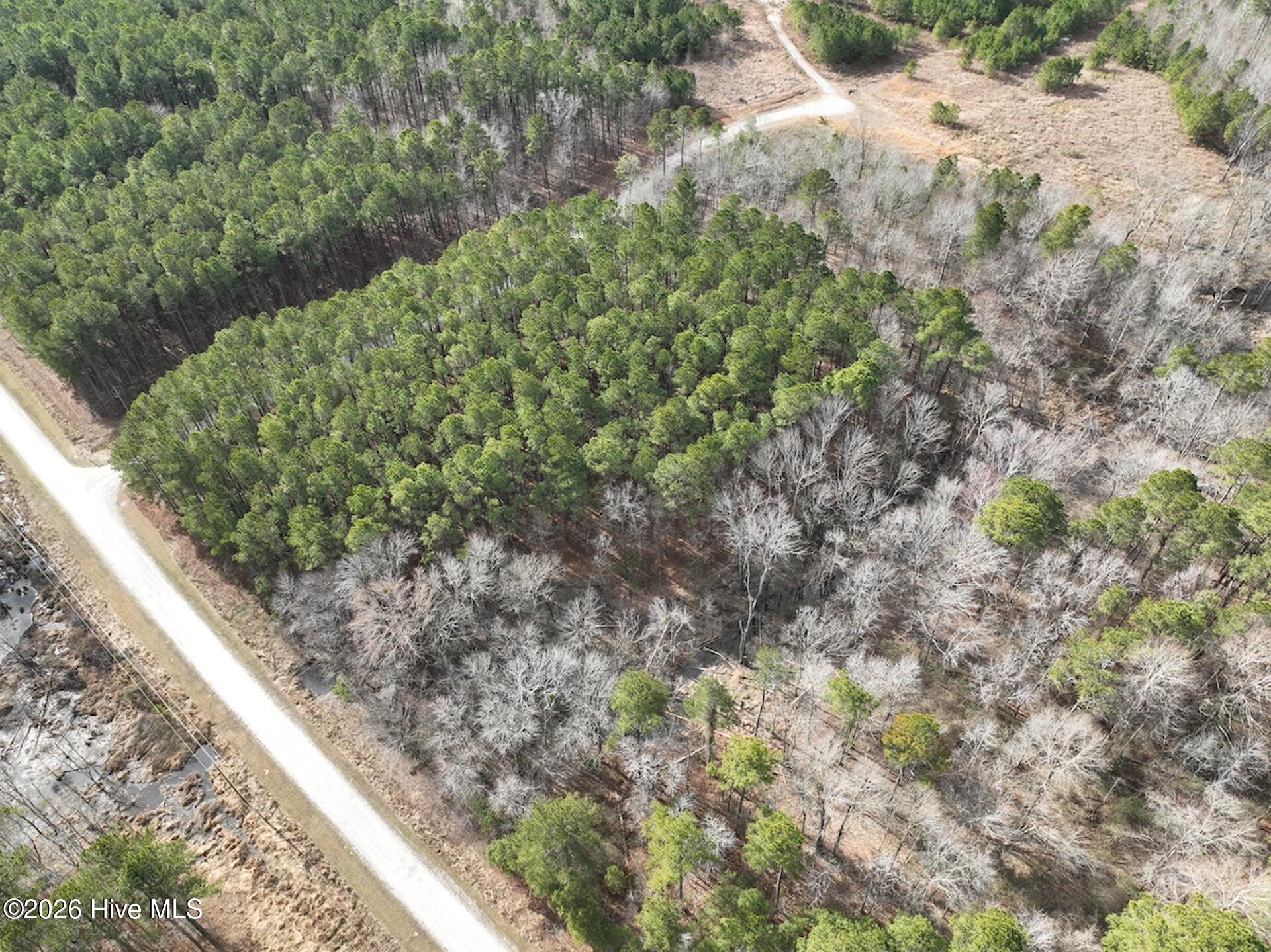 405 Batts Island Road Edenton, NC 27932 - Photo 5 of 43 4