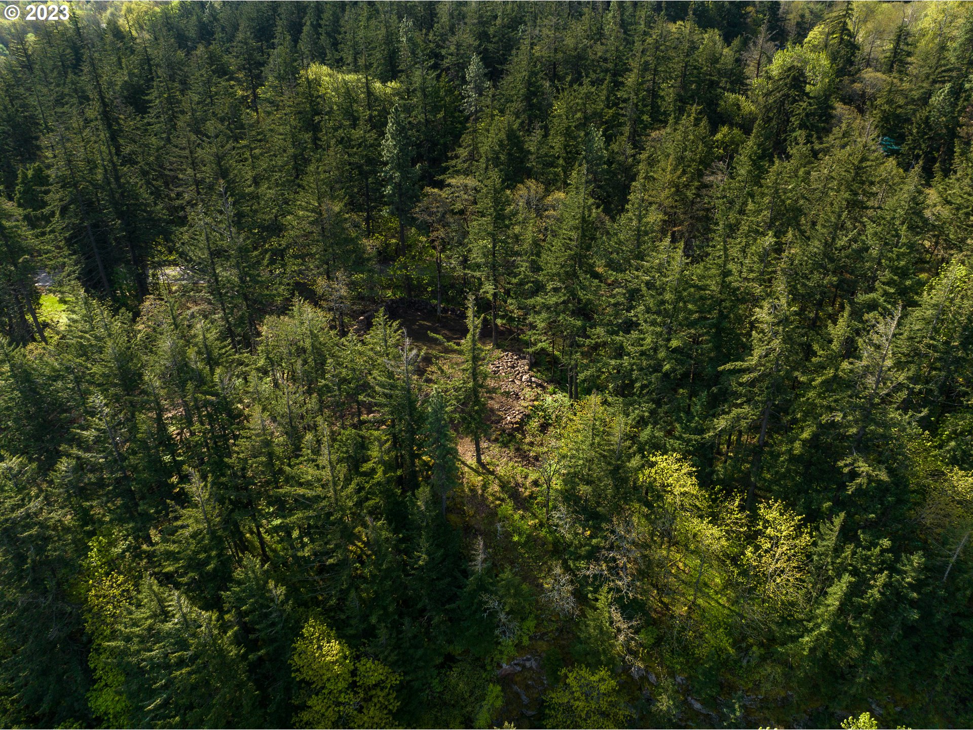 476 Country Club Road Hood River, OR 97031 - Photo 12 of 24