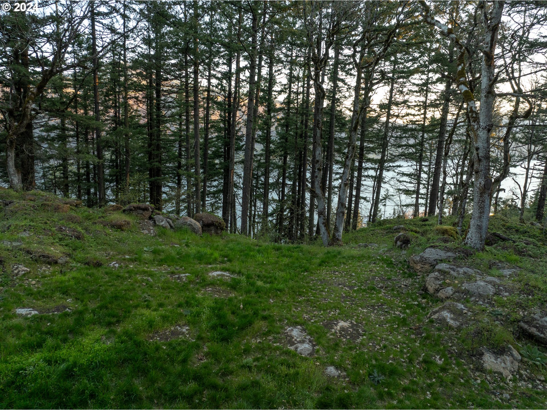 476 Country Club Road Hood River, OR 97031 - Photo 14 of 24