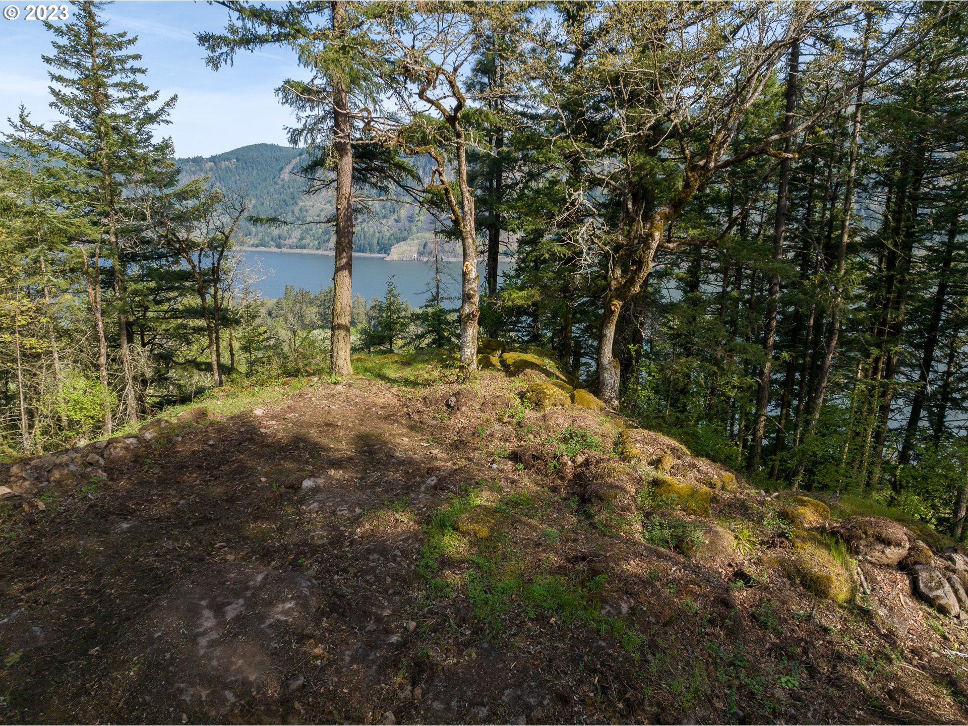 476 Country Club Road Hood River, OR 97031 - Photo 6 of 24