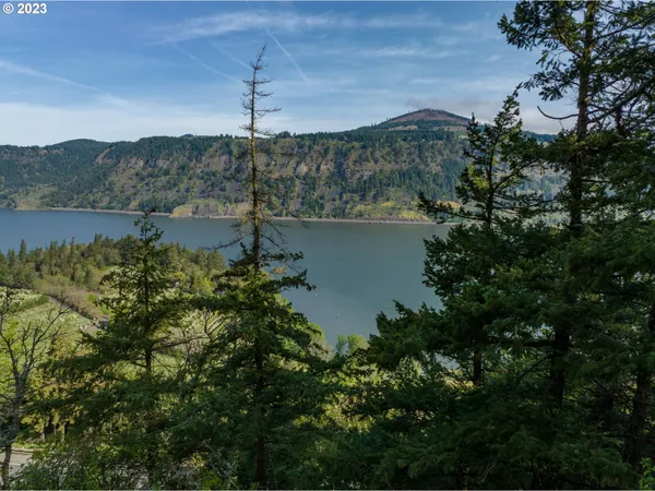 a lake view with mountains in the background
