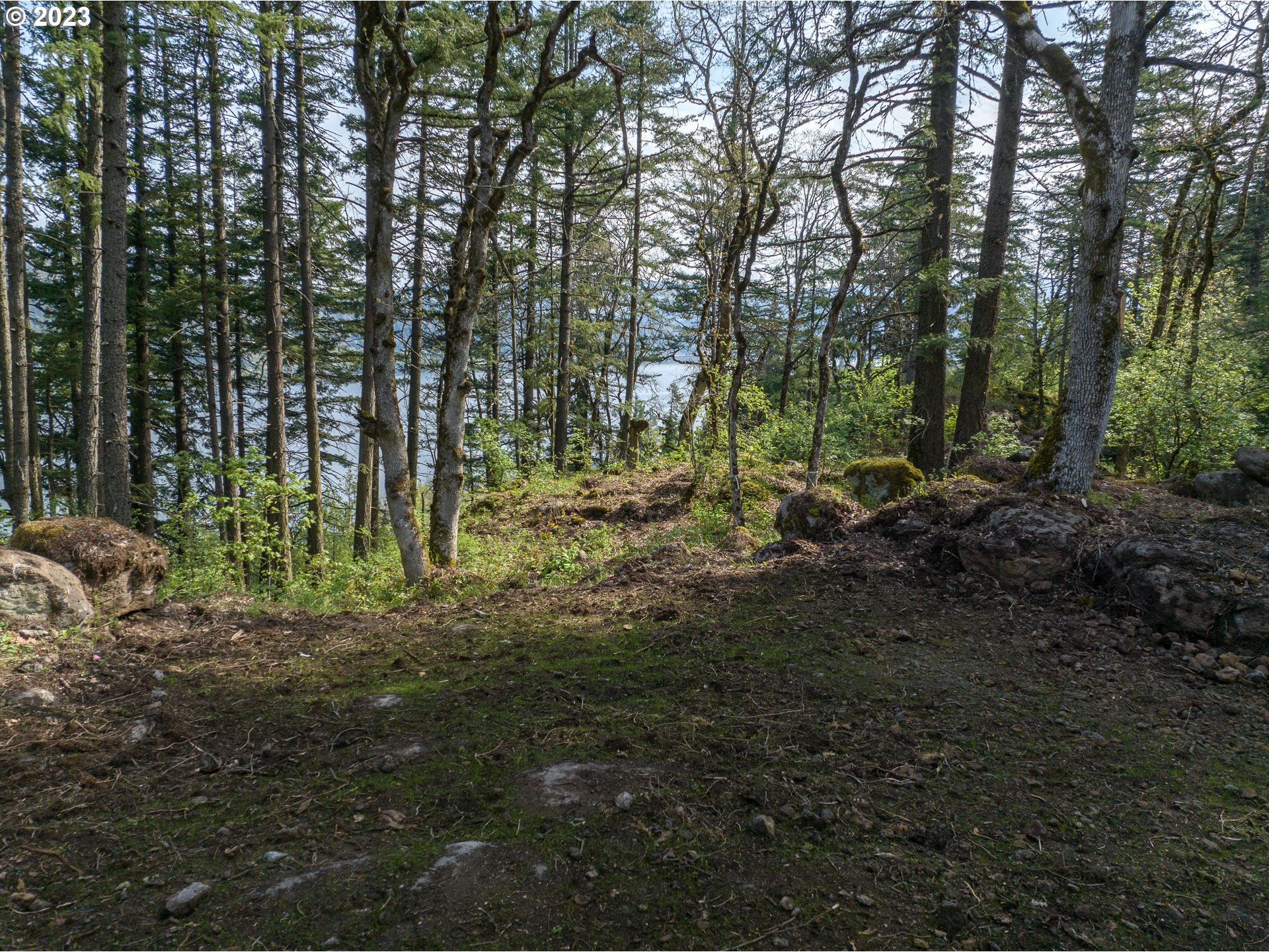 476 Country Club Road Hood River, OR 97031 - Photo 8 of 24