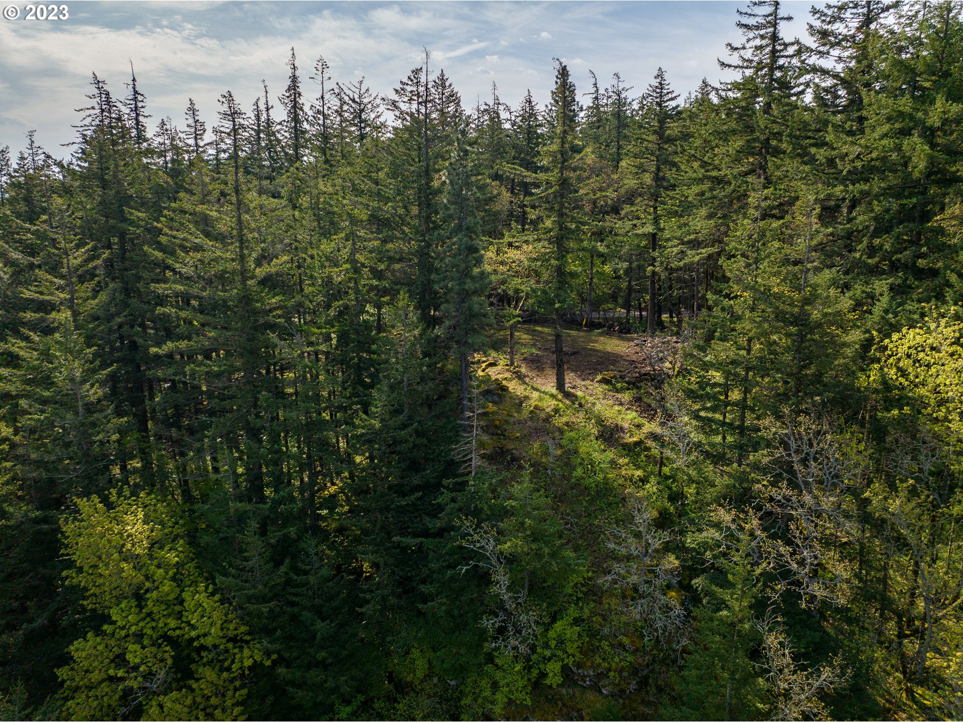 476 Country Club Road Hood River, OR 97031 - Photo 9 of 24