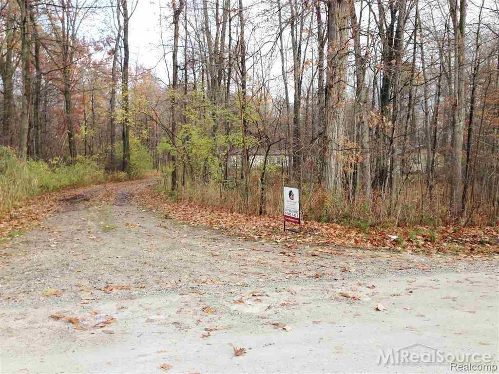 Road entrance.jpg