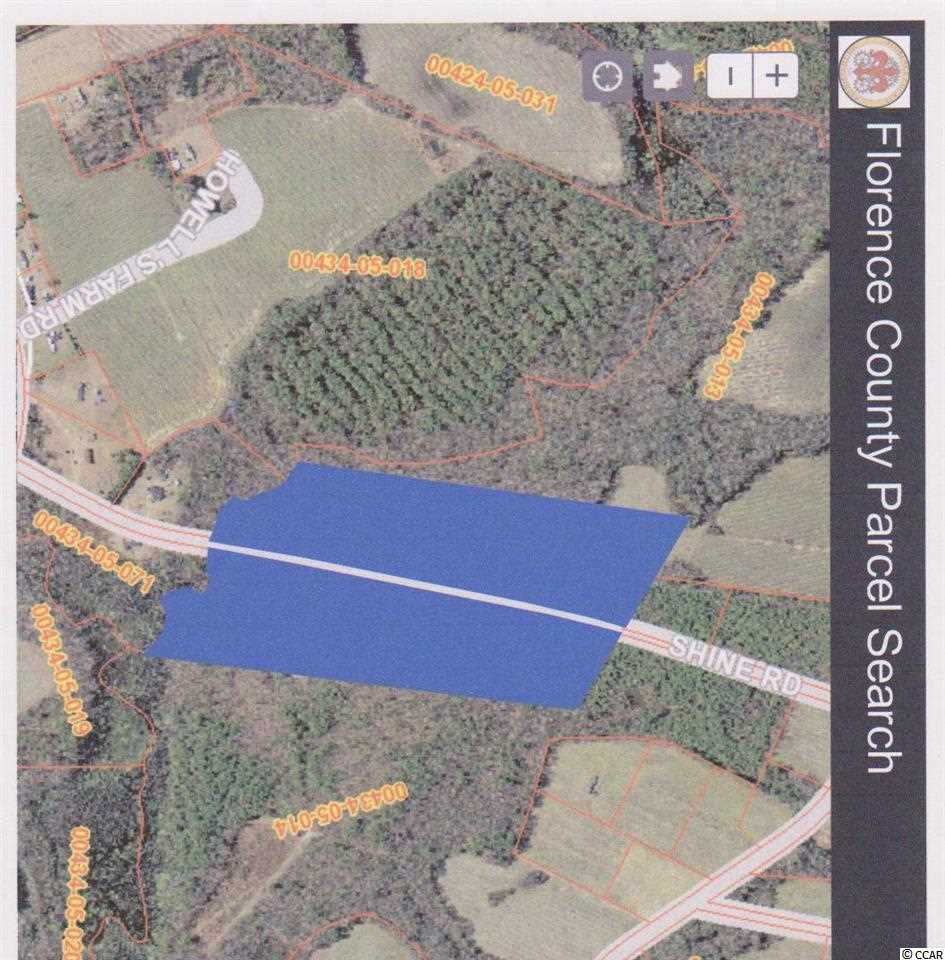 35-ac Shine Road Johnsonville, SC 29555 - Photo 3 of 5