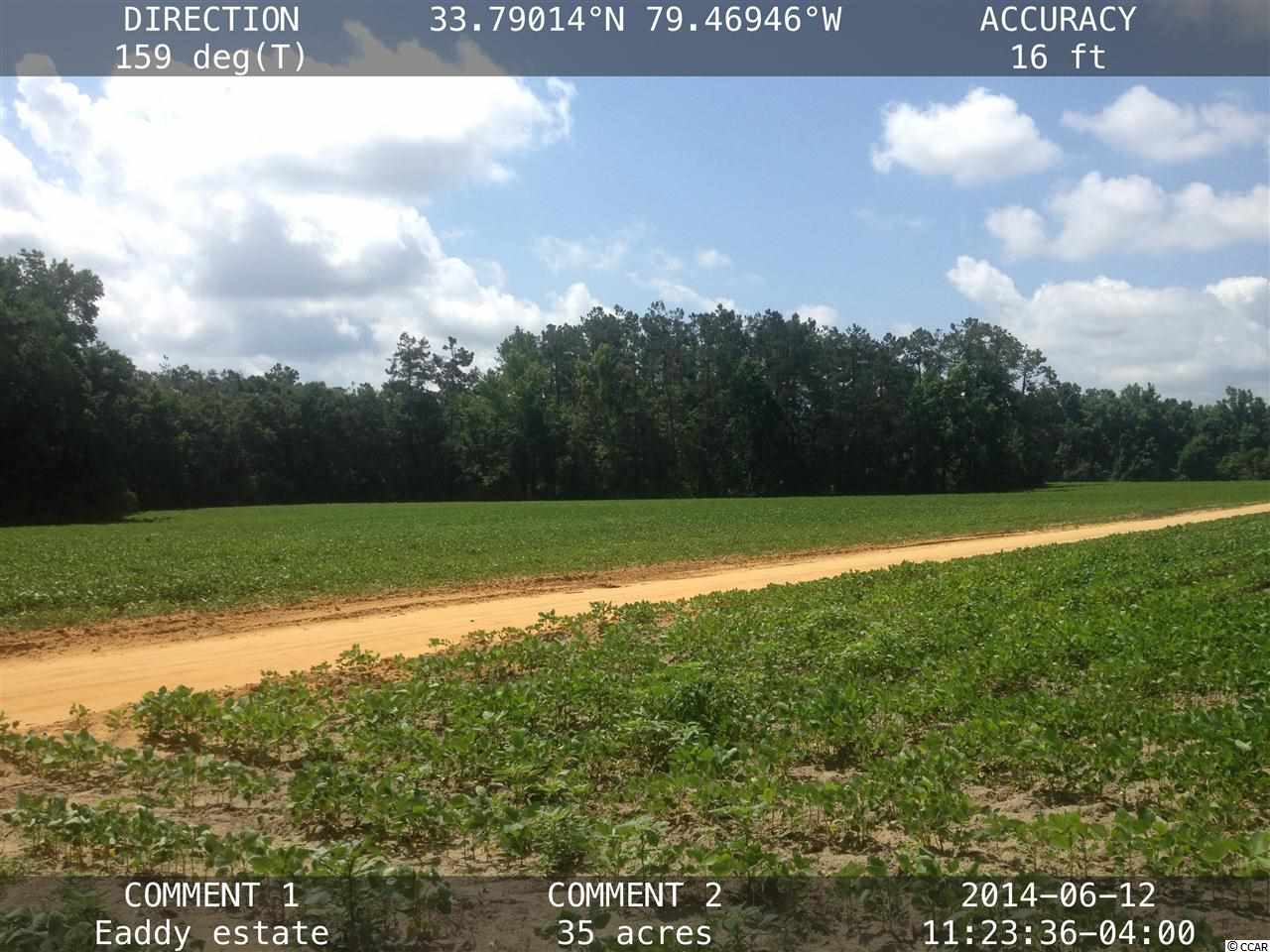 35-ac Shine Road Johnsonville, SC 29555 - Photo 4 of 5