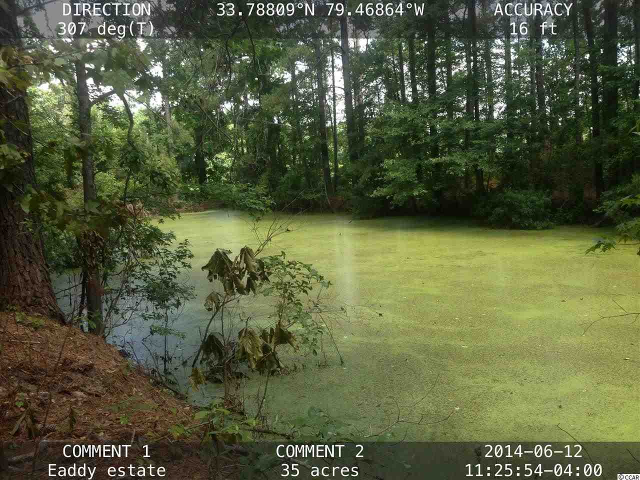 35-ac Shine Road Johnsonville, SC 29555 - Photo 5 of 5