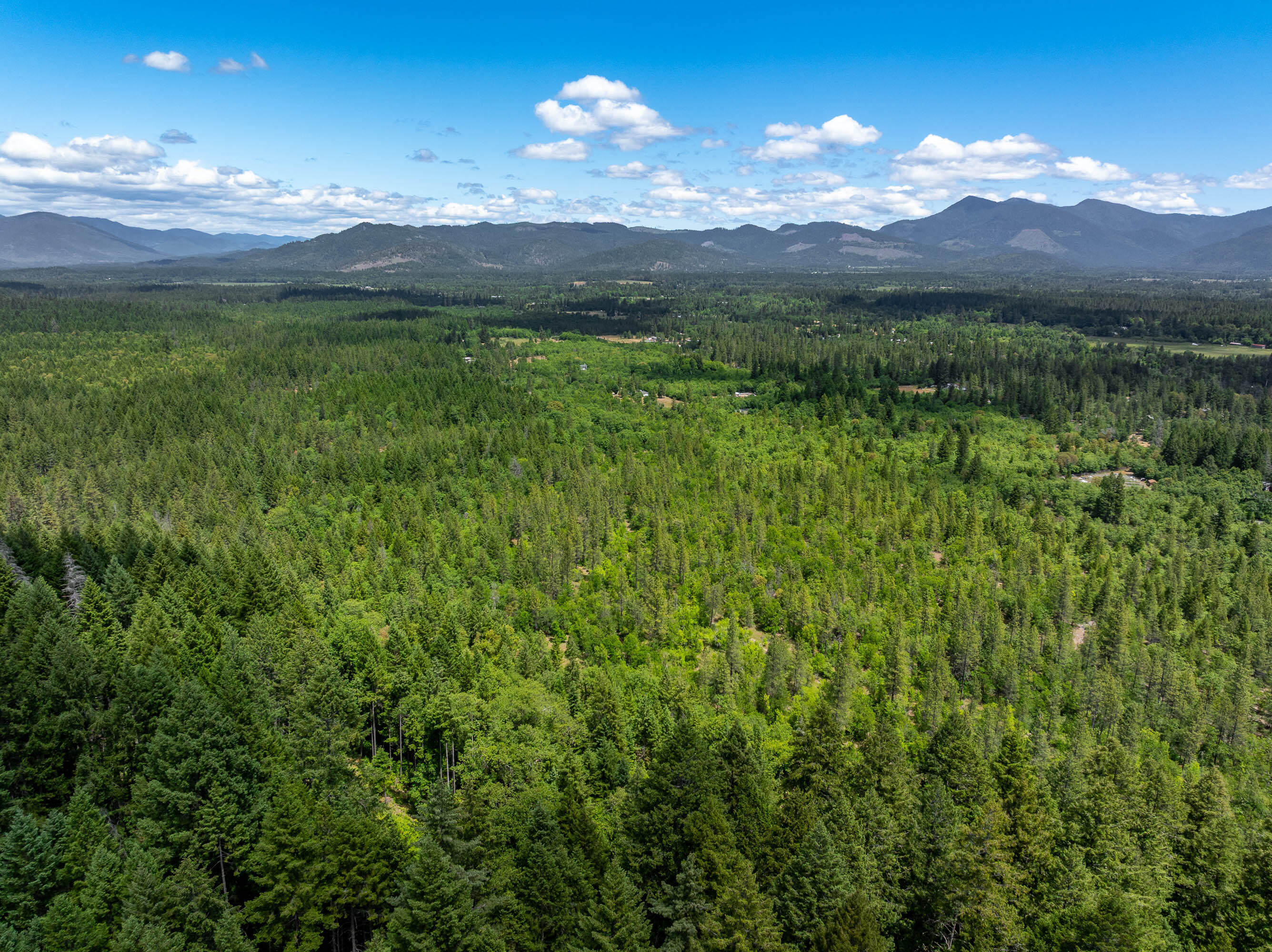 525 Sherier Road Cave Junction, OR 97523 - Photo 10 of 20 DRONE (1 of 9)