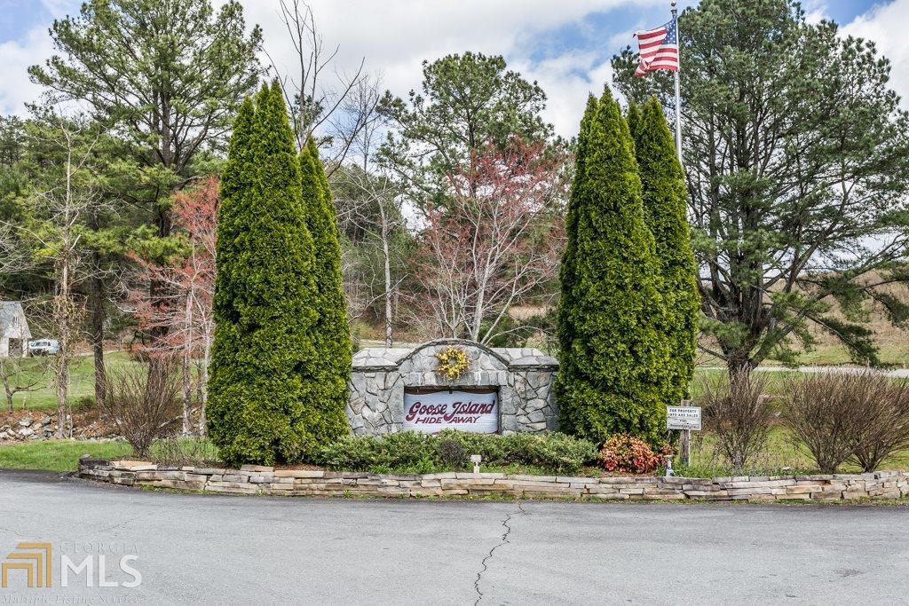54 Goose Island Road Cherry Log, GA 30522 - Photo 1 of 1