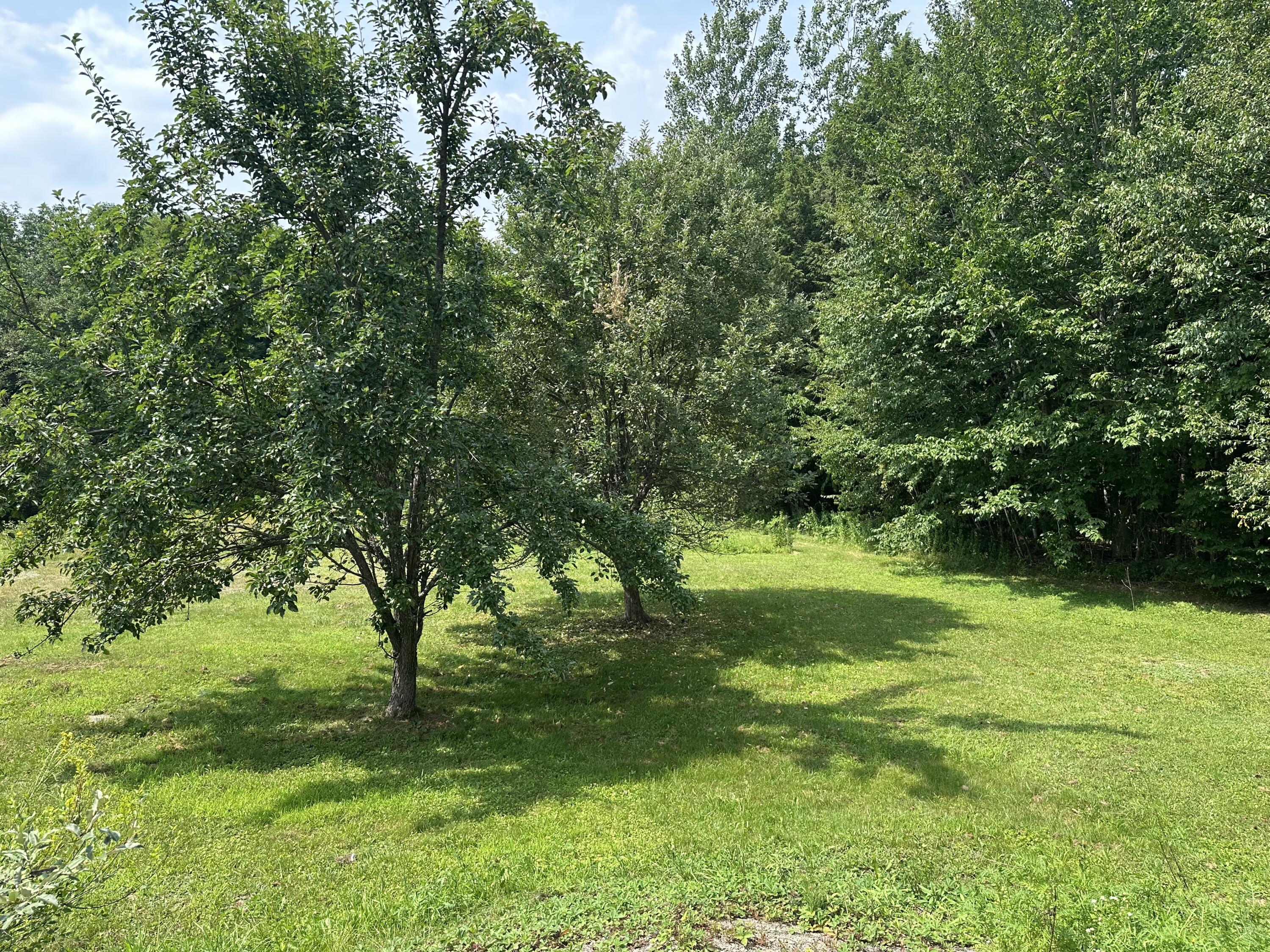 688 Industry Road New Sharon, ME 04955 - Photo 15 of 28