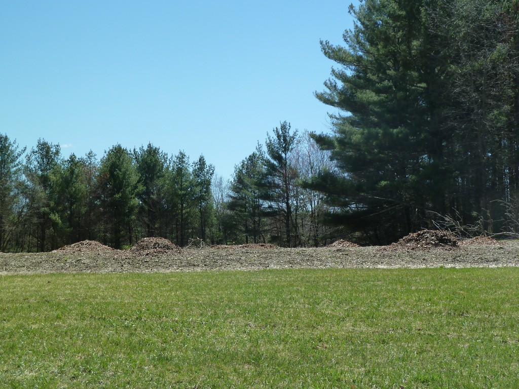 138 Parmenter Road Bernardston, MA 01337 - Photo 2 of 5 Gallery Image 2
