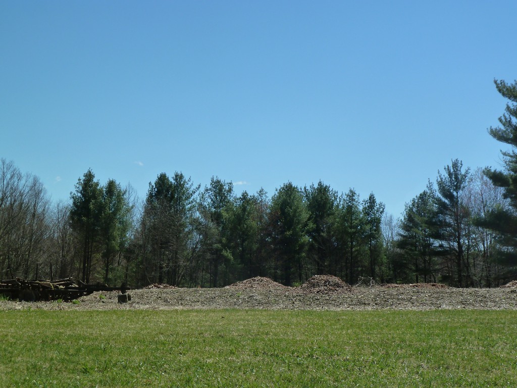 138 Parmenter Road Bernardston, MA 01337 - Photo 4 of 5 Gallery Image 4