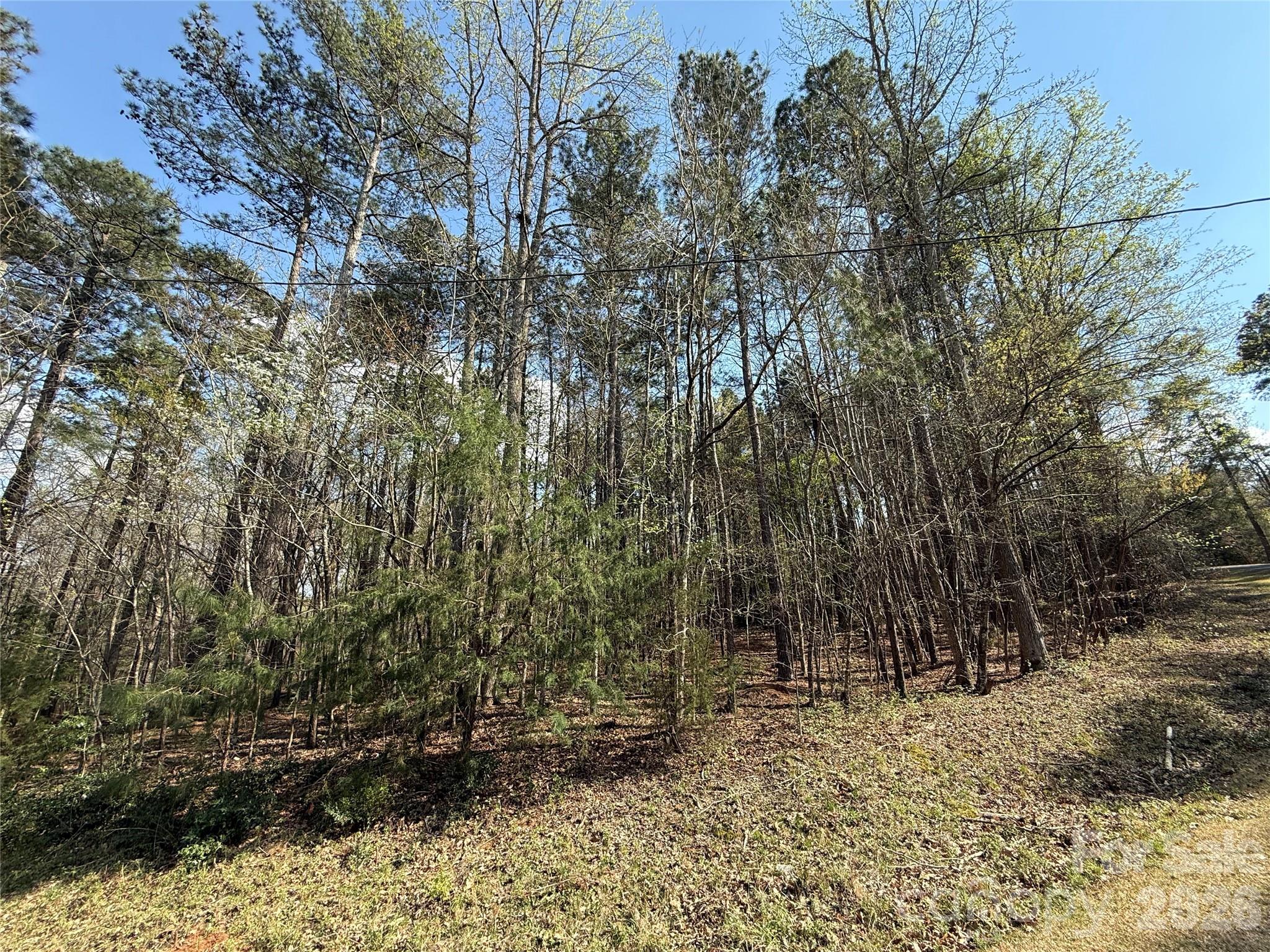Tbd East Goldmine Road Wadesboro, NC 28170 - Photo 3 of 6