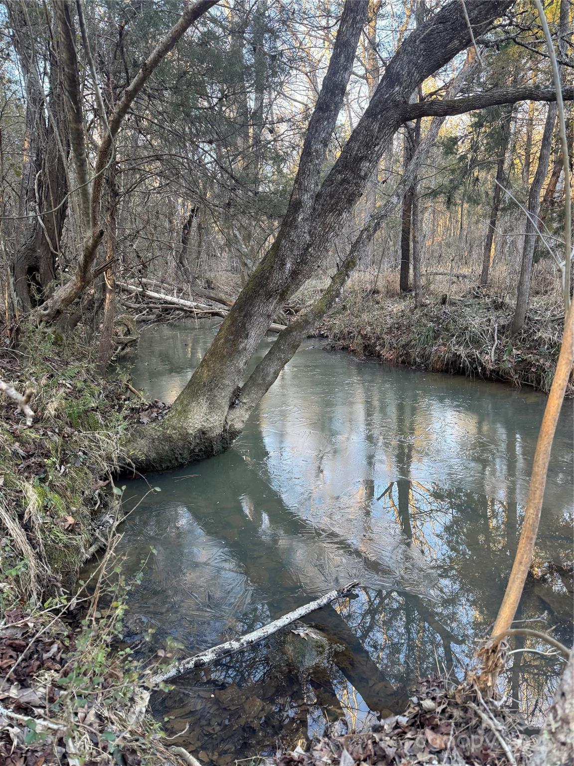 0 Daystar Road, Unit 14 Lancaster, SC 29720 - Photo 2 of 10
