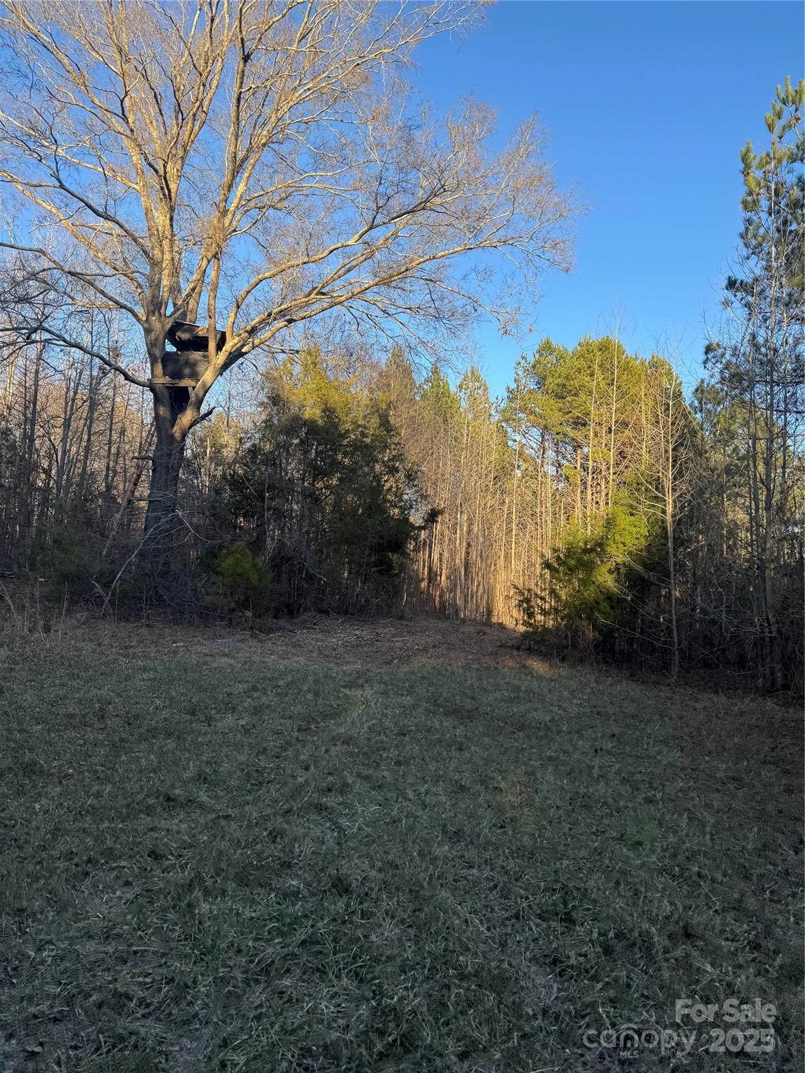 0 Daystar Road, Unit 14 Lancaster, SC 29720 - Photo 4 of 10