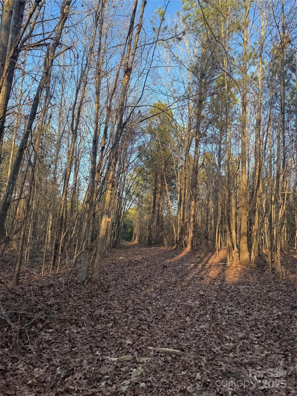 0 Daystar Road, Unit 14 Lancaster, SC 29720 - Photo 6 of 10