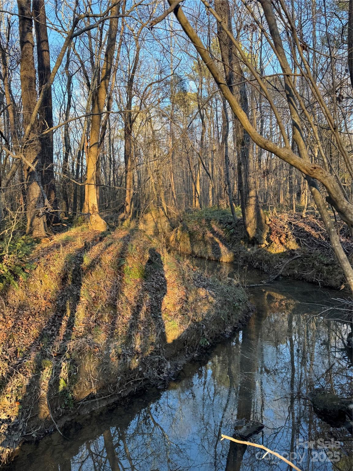 0 Daystar Road, Unit 14 Lancaster, SC 29720 - Photo 8 of 10
