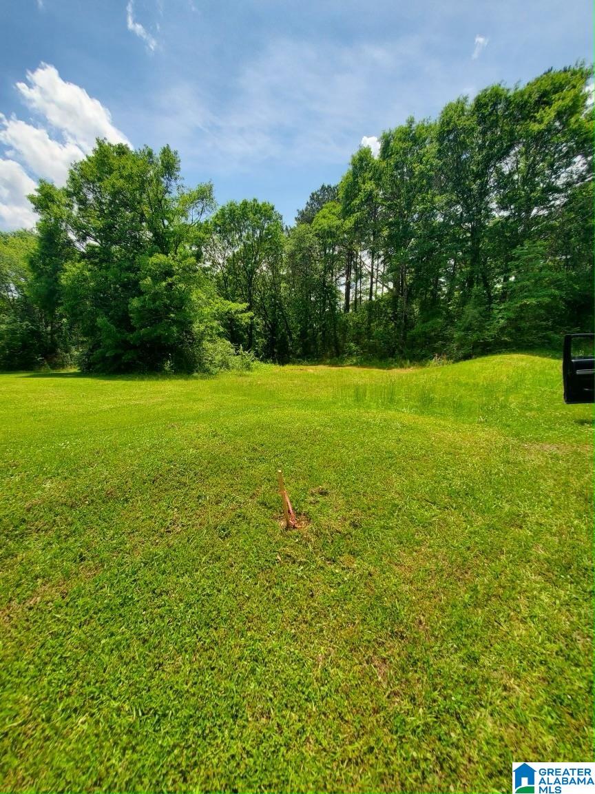 253 Carleton Point Lane, Unit 1 Wilsonville, AL 35186 - Photo 4 of 9