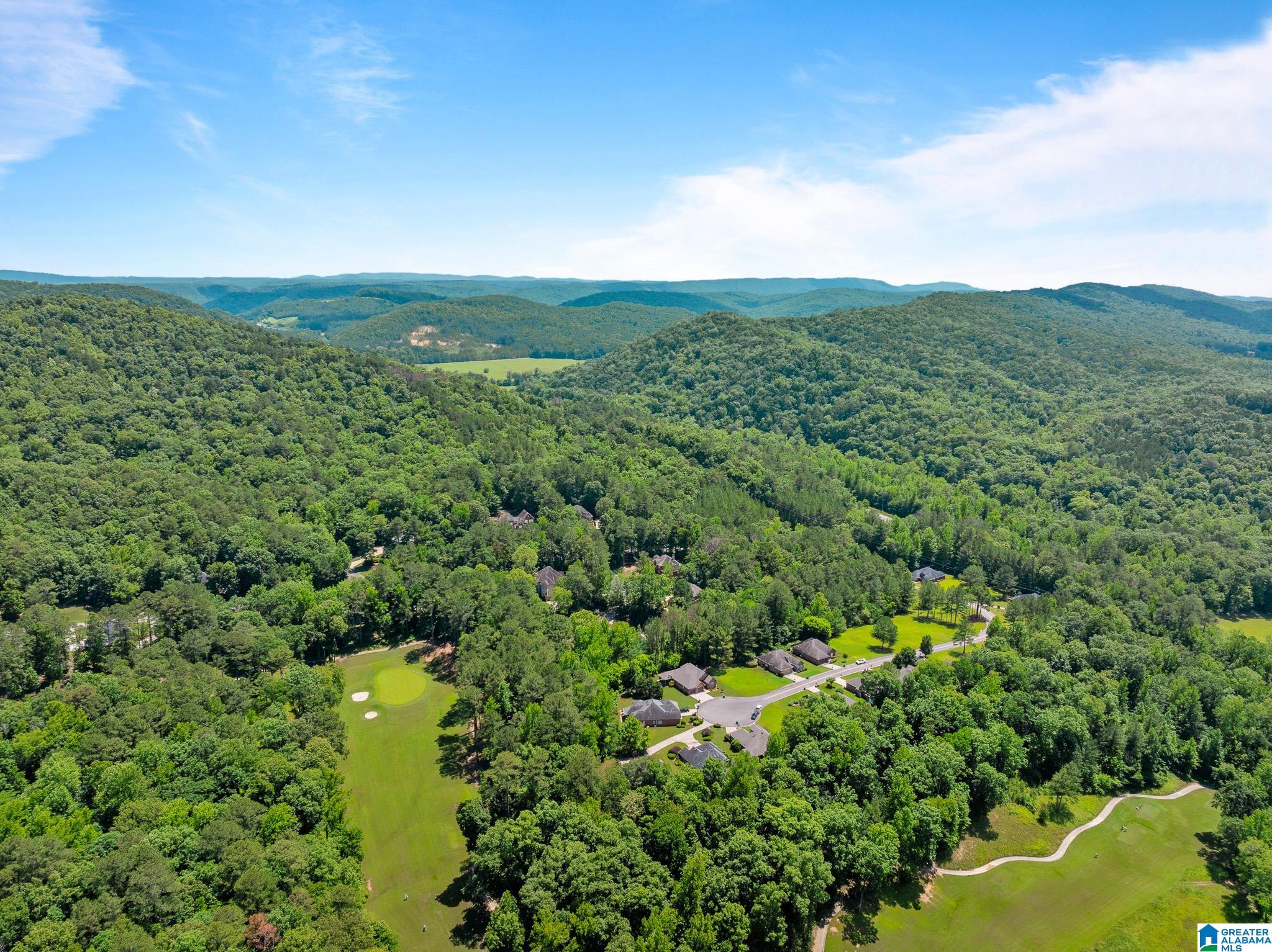 150 St Andrews Parkway Oneonta, AL 35121 - Photo 83 of 98