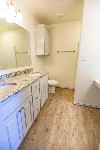 a bathroom with a sink a toilet and vanity