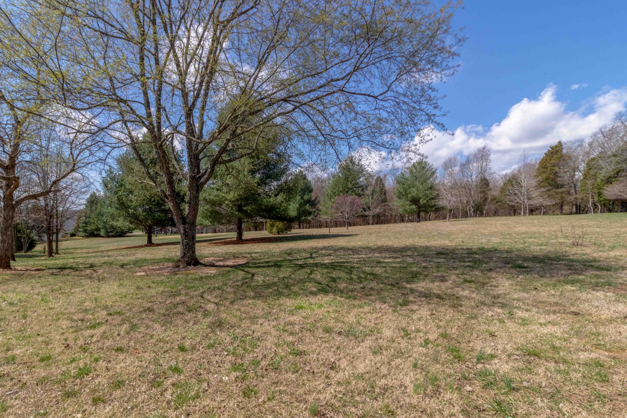 1112 Drake Road Clarksville, TN 37043 - Photo 38 of 50 Gallery Image 38