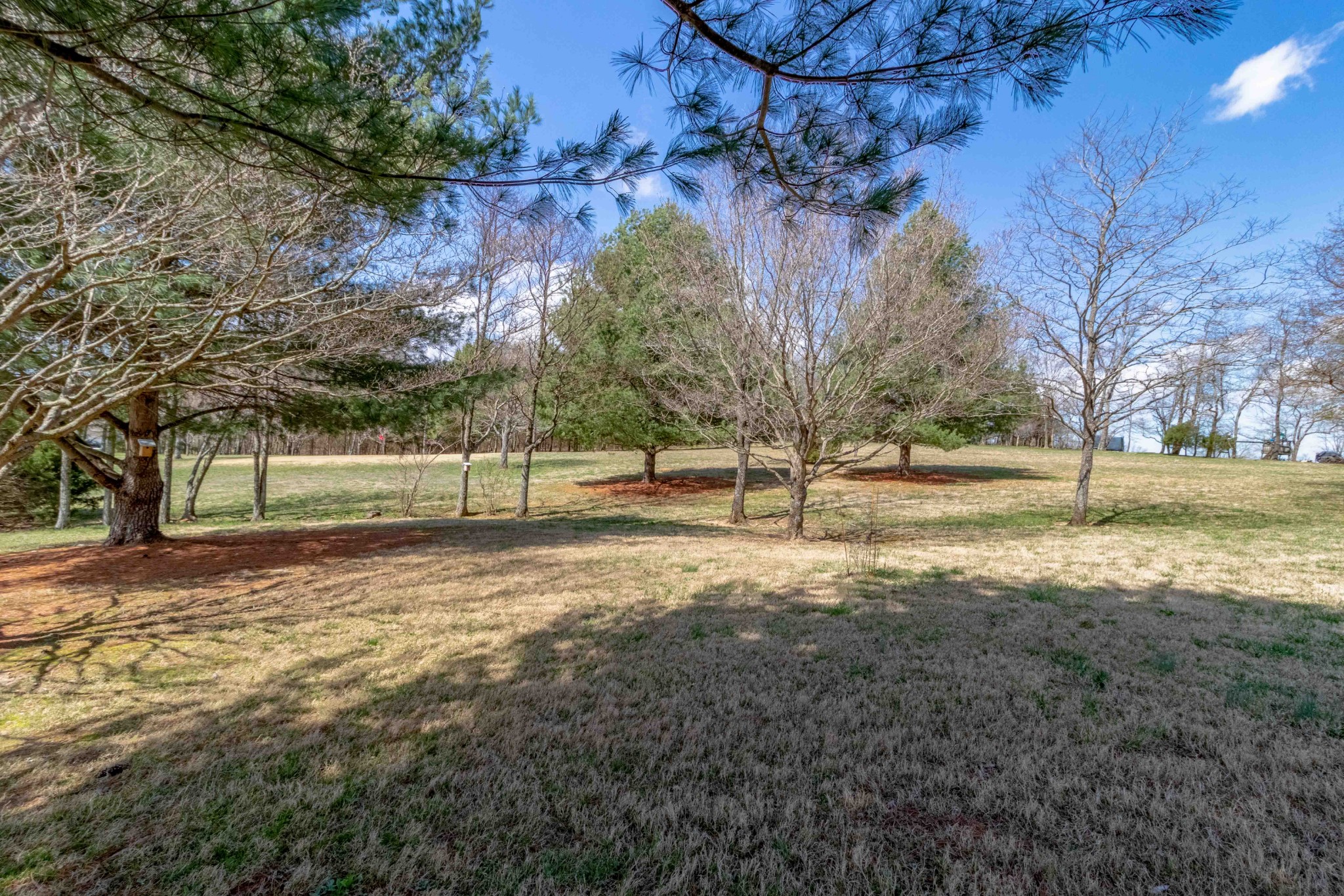 1112 Drake Road Clarksville, TN 37043 - Photo 41 of 50 Gallery Image 41